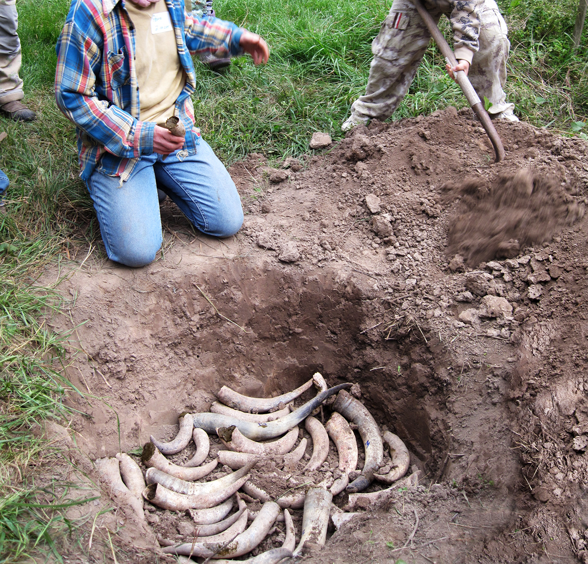 biodynamic-cow-horn-burying-compost-fall-preparation
