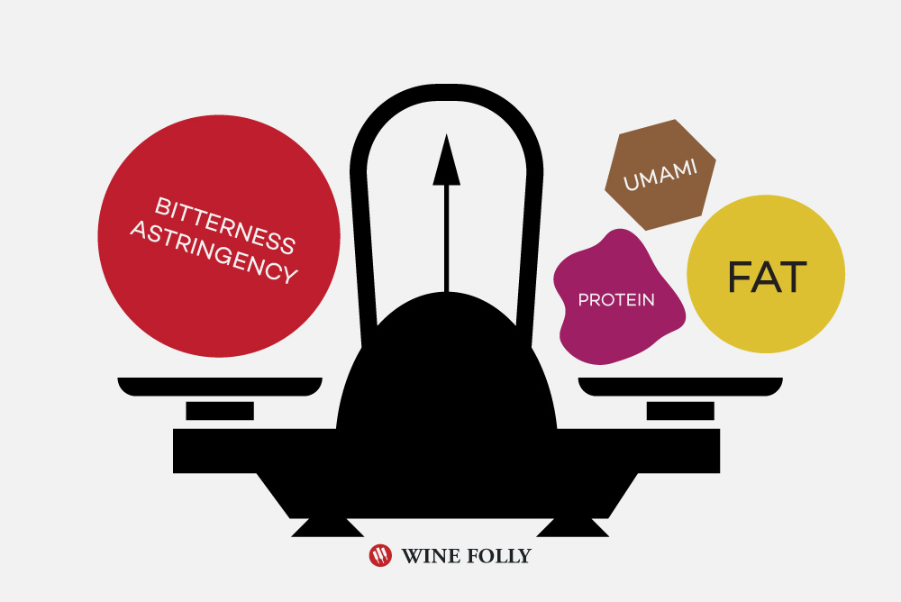 bitter-umami-fat-protein-pairing-wine
