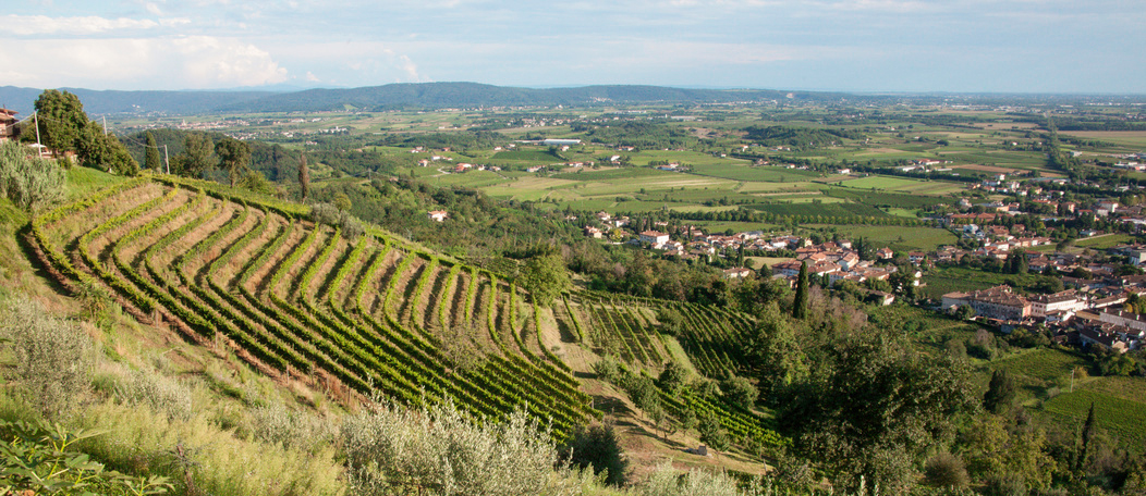 Colli Orientali del Friuli