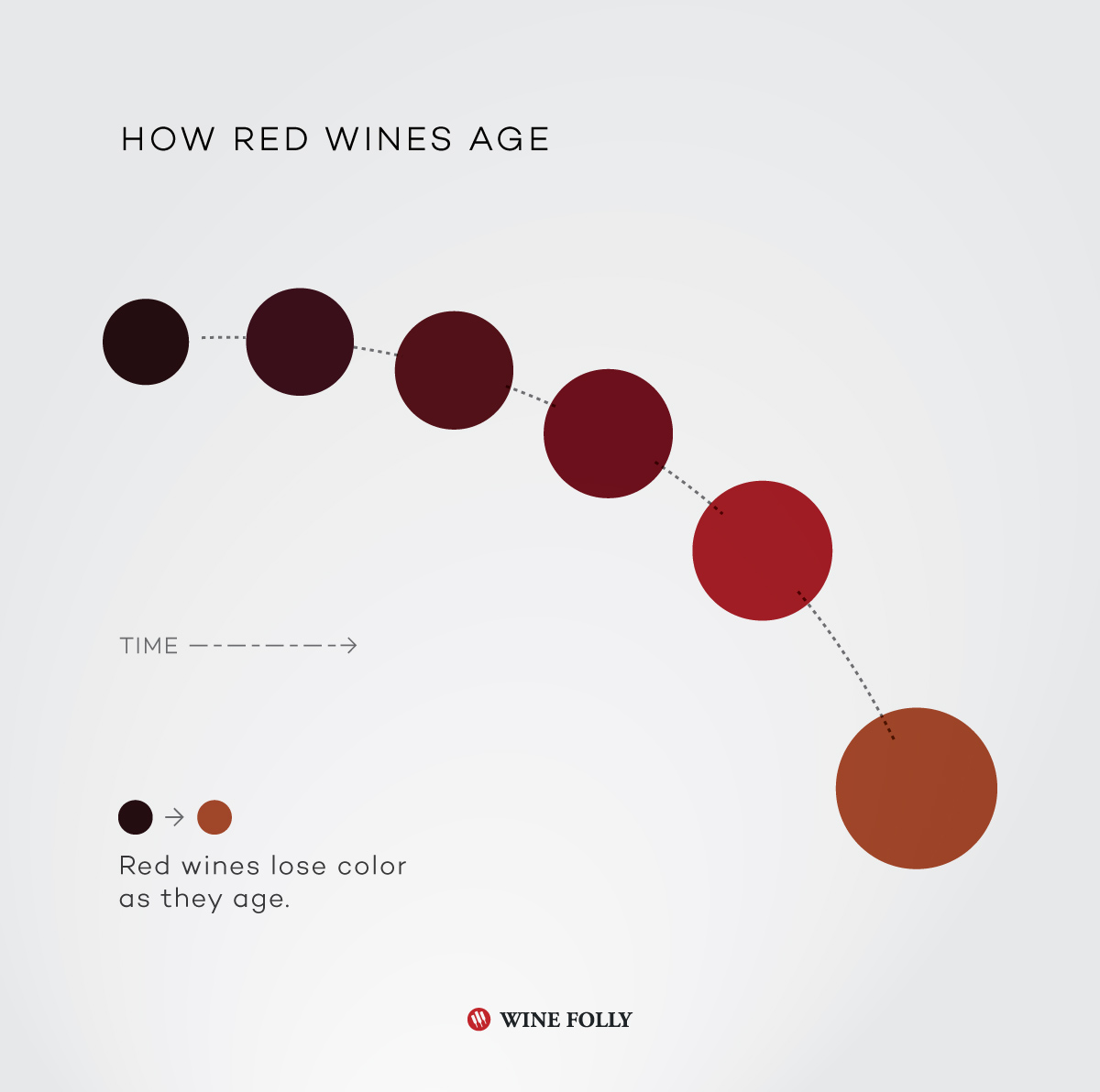 How red wines age infographic by Wine Folly
